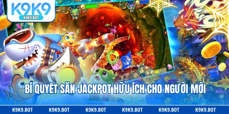 Bí quyết săn Jackpot hữu ích cho người mới