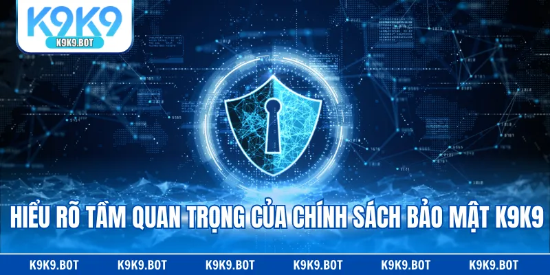 Hiểu rõ tầm quan trọng của chính sách bảo mật K9K9