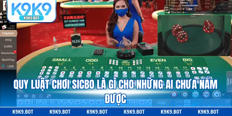 Quy luật chơi sicbo là gì cho những ai chưa nắm được Quy luật chơi sicbo là gì cho những ai chưa nắm được