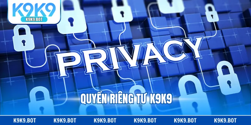 Quyền Riêng Tư K9K9 - Bảo Vệ Lợi Ích Thành Viên Tại Web
